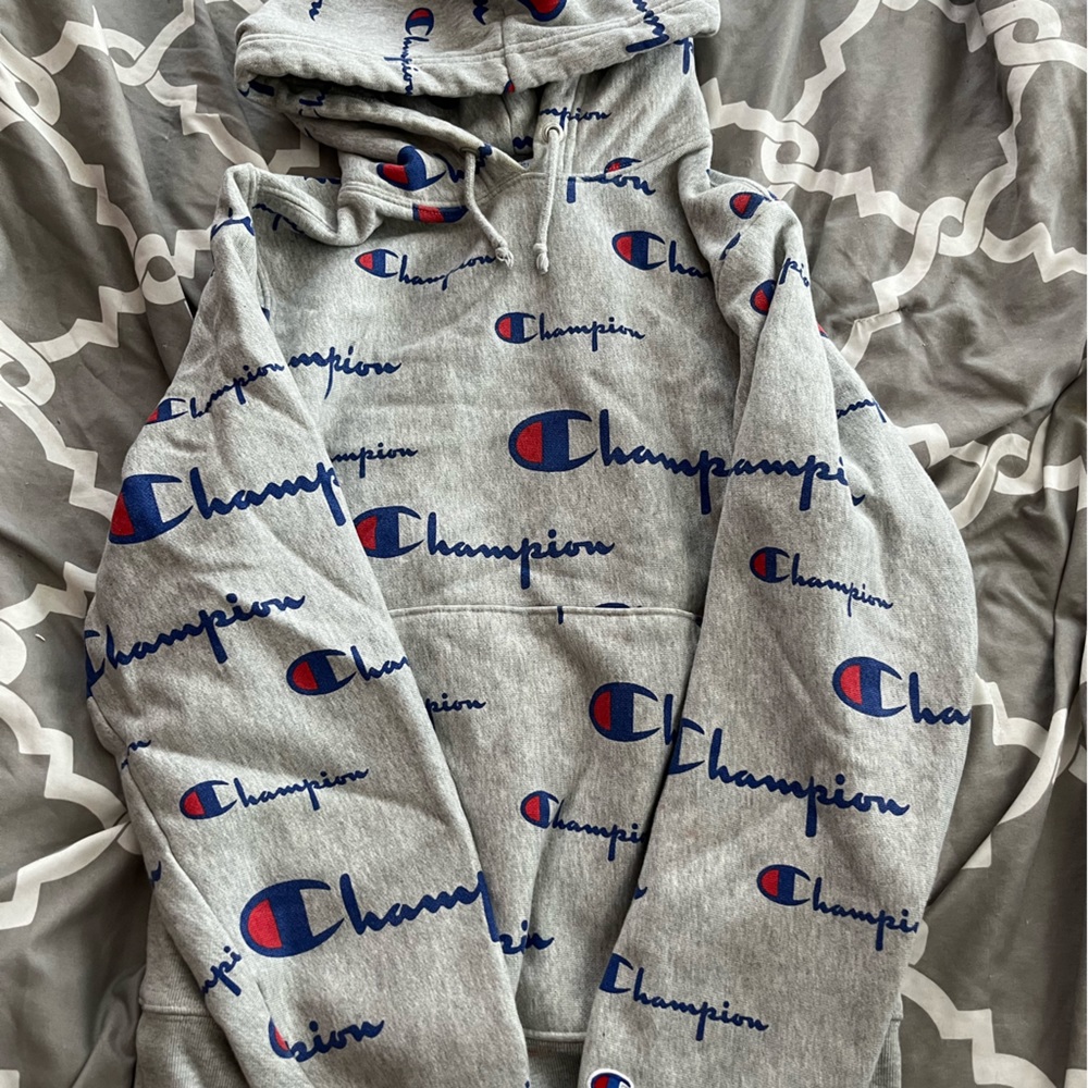 men’s/unisex gray champion hoodie